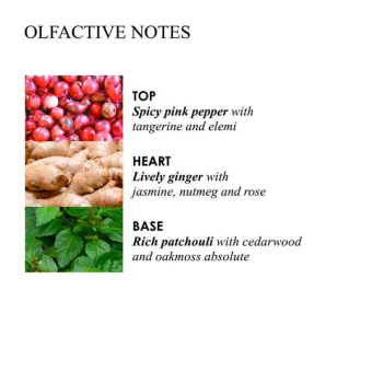 MOLTON BROWN Fiery Pink Pepper Body Lotion 300 Ml – Bild 4