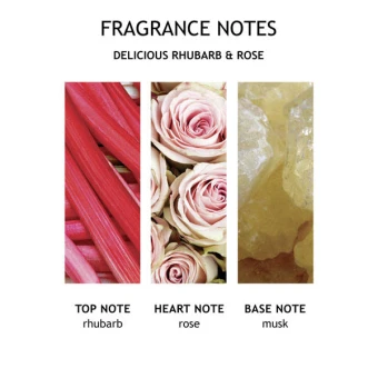 MOLTON BROWN Delicious Rhubarb & Rose Hand Lotion 300 Ml – Bild 4