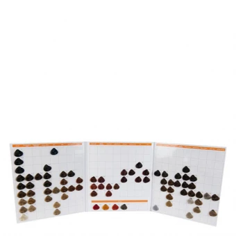 Dusy Professional Color Spirit Farbkarte – Bild 2