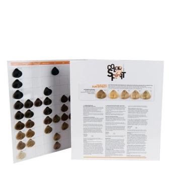 Dusy Professional Color Spirit Farbkarte – Bild 3